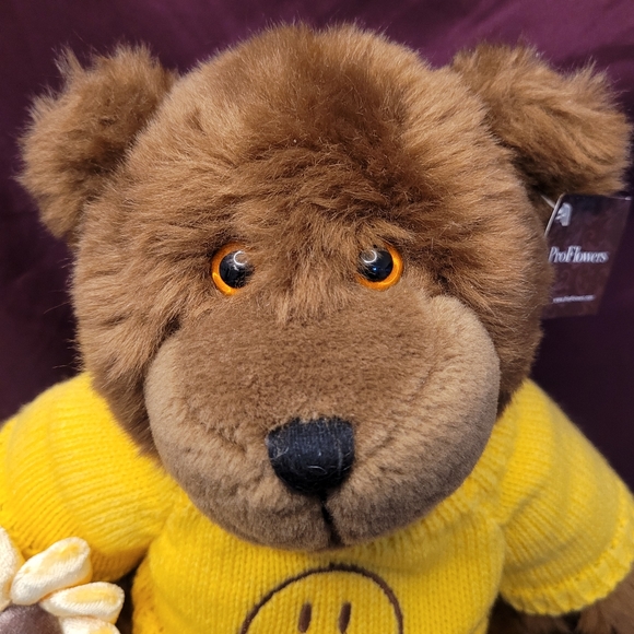 ProFlowers Plush Teddy Bear with gorgeous Yellow Sweater Holding a Sunflower - Picture 3 of 13